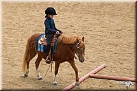 4H-2nd-Show-11_1482.jpg