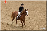 4H-2nd-Show-11_1495.jpg