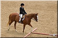 4H-2nd-Show-11_1497.jpg