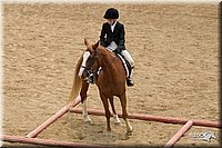 4H-2nd-Show-11_1498.jpg