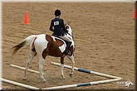 4H-2nd-Show-11_1502.jpg