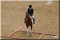4H-2nd-Show-11_1507.jpg