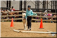 4H-2nd-Show-11_1508.jpg