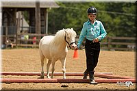 4H-2nd-Show-11_1520.jpg
