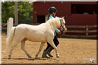 4H-2nd-Show-11_1523.jpg
