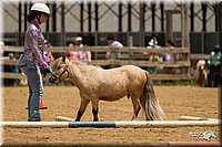 4H-2nd-Show-11_1531.jpg