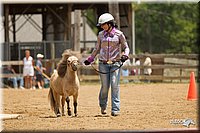 4H-2nd-Show-11_1538.jpg