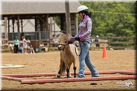 4H-2nd-Show-11_1543.jpg