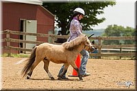 4H-2nd-Show-11_1550.jpg