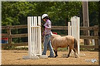 4H-2nd-Show-11_1551.jpg