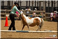 4H-2nd-Show-11_1556.jpg