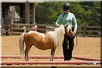 4H-2nd-Show-11_1562.jpg