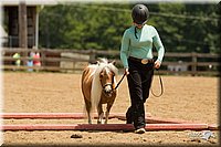4H-2nd-Show-11_1564.jpg