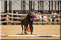 4H-2nd-Show-11_1571.jpg