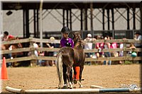 4H-2nd-Show-11_1572.jpg