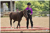 4H-2nd-Show-11_1581.jpg