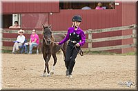 4H-2nd-Show-11_1586.jpg