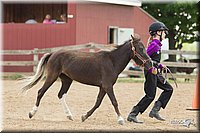 4H-2nd-Show-11_1587.jpg