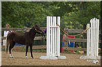 4H-2nd-Show-11_1591.jpg