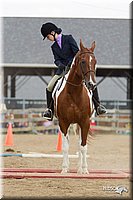 4H-2nd-Show-11_1617.jpg
