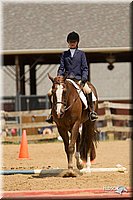 4H-2nd-Show-11_1690.jpg