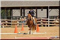 4H-2nd-Show-11_1721.jpg