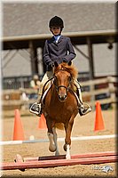 4H-2nd-Show-11_1723.jpg