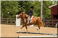 4H-2nd-Show-11_1729.jpg
