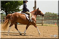 4H-2nd-Show-11_1731.jpg