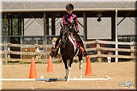 4H-2nd-Show-11_1733.jpg