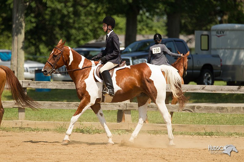 4H-2nd-Show-11_1241.jpg