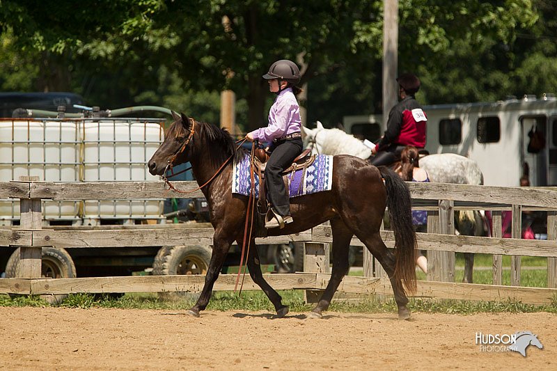 4H-2nd-Show-11_1355.jpg