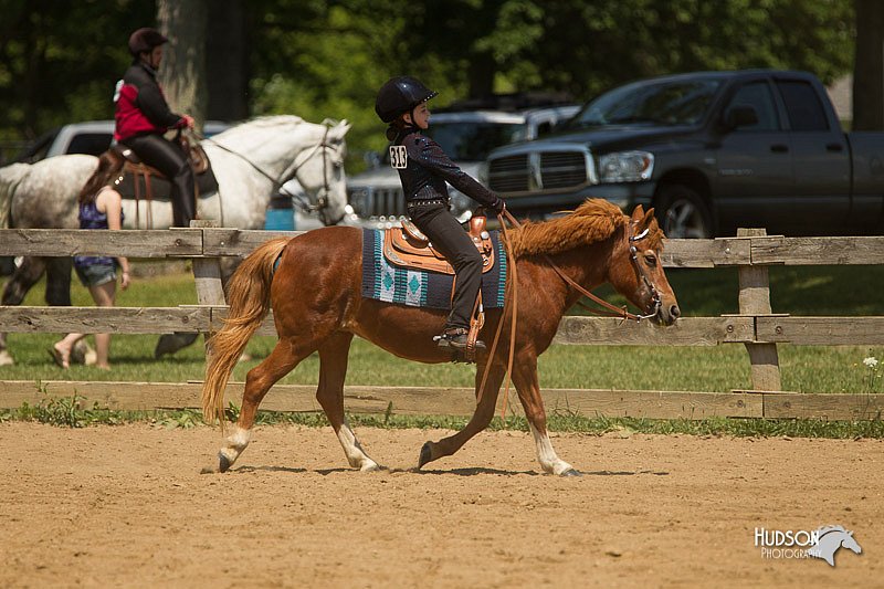 4H-2nd-Show-11_1372.jpg
