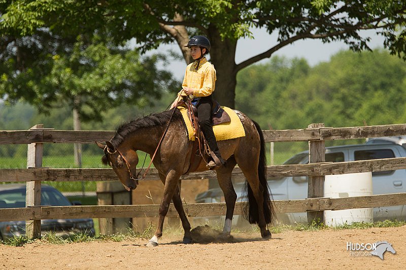 4H-2nd-Show-11_1380.jpg