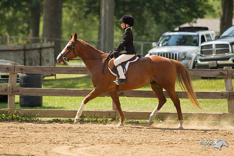 4H-2nd-Show-11_1801.jpg
