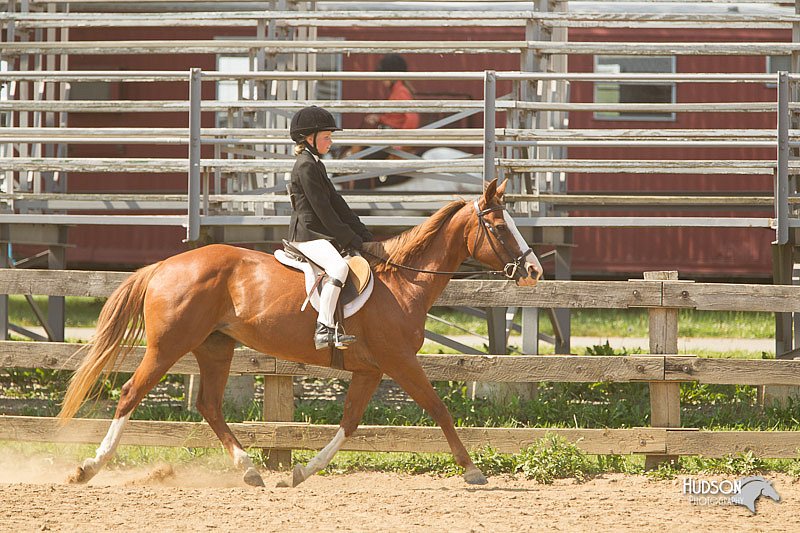 4H-2nd-Show-11_1810.jpg