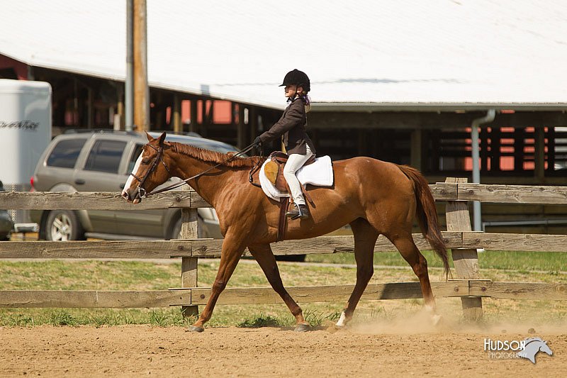 4H-2nd-Show-11_1819.jpg