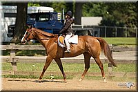 4H-2nd-Show-11_1238.jpg