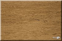 4H-2nd-Show-11_1375.jpg