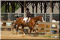 4H-2nd-Show-11_1821.jpg
