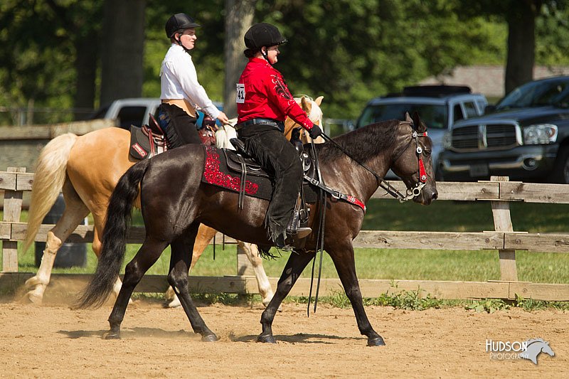 4H-2nd-Show-11_1161.jpg
