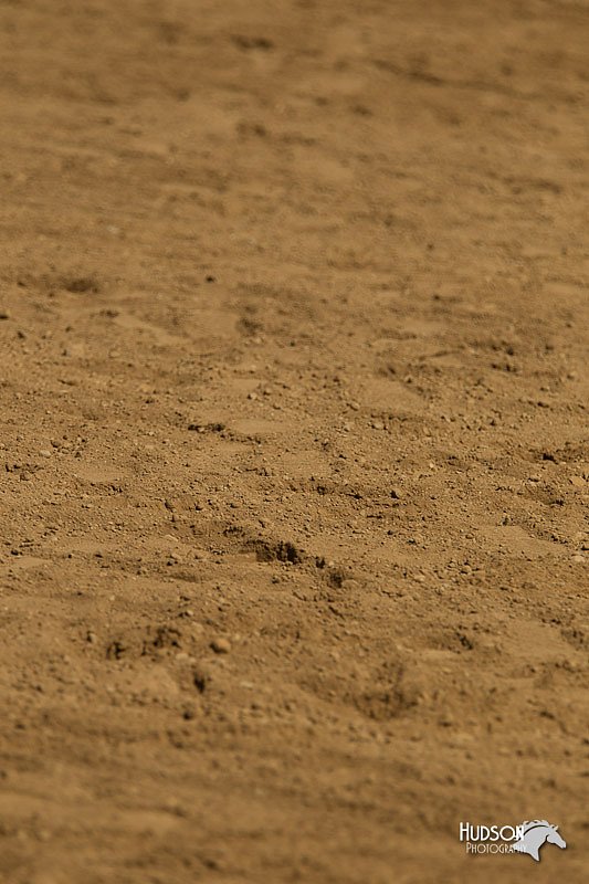 4H-2nd-Show-11_1165.jpg