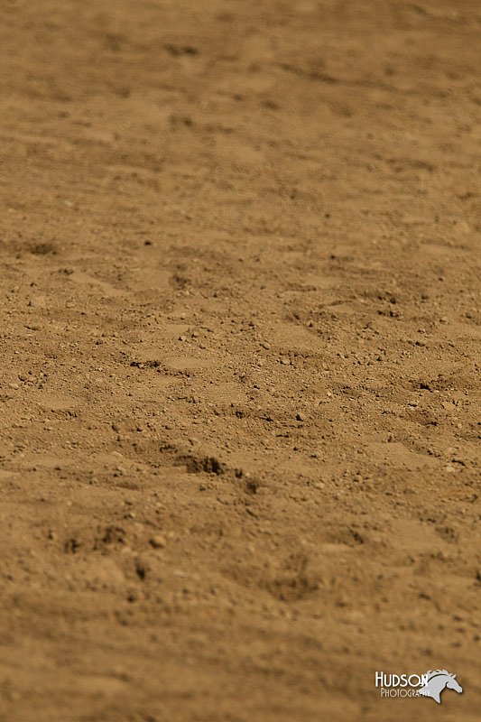 4H-2nd-Show-11_1166.jpg