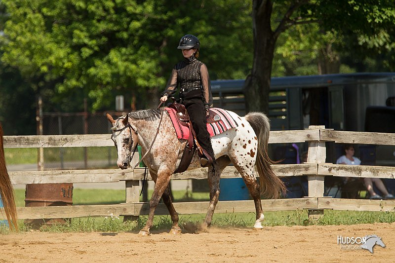 4H-2nd-Show-11_1173.jpg