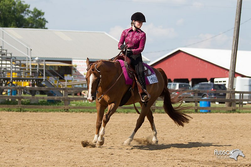 4H-2nd-Show-11_1863.jpg