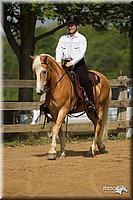 4H-2nd-Show-11_1137.jpg