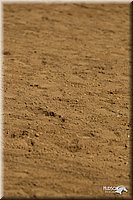 4H-2nd-Show-11_1164.jpg