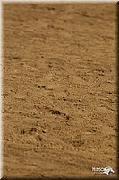 4H-2nd-Show-11_1165.jpg