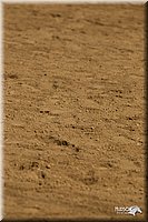 4H-2nd-Show-11_1166.jpg