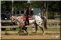 4H-2nd-Show-11_1171.jpg